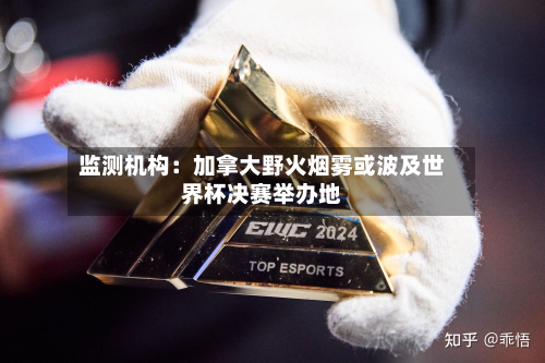 监测机构：加拿大野火烟雾或波及世界杯决赛举办地-第1张图片