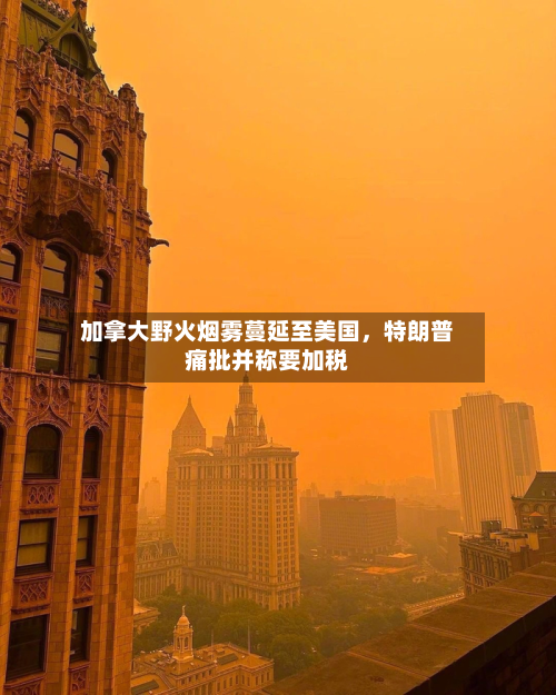 加拿大野火烟雾蔓延至美国	，特朗普痛批并称要加税-第2张图片