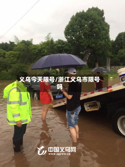义乌今天限号/浙江义乌市限号吗-第2张图片