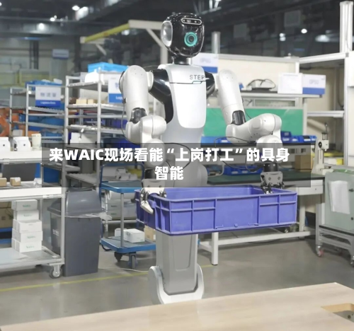 来WAIC现场看能“上岗打工”的具身智能-第2张图片