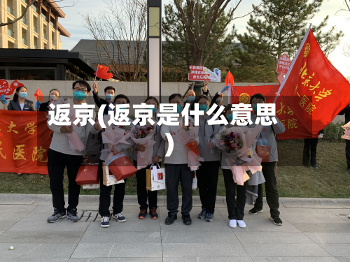 返京(返京是什么意思)