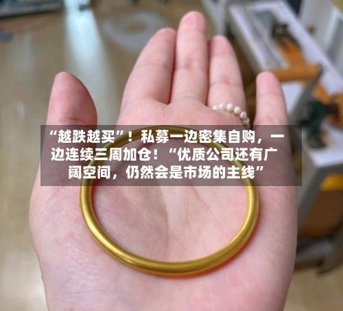 “越跌越买”！私募一边密集自购，一边连续三周加仓！“优质公司还有广阔空间，仍然会是市场的主线”