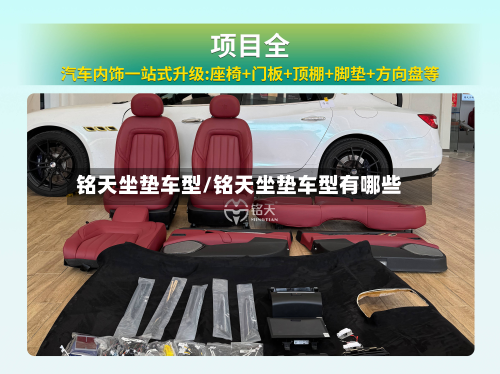 铭天坐垫车型/铭天坐垫车型有哪些