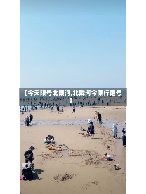【今天限号北戴河,北戴河今限行尾号】