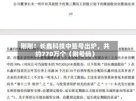 刚刚！长鑫科技中签号出炉，共约770万个（附号码）-第2张图片