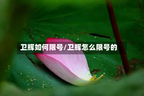 卫辉如何限号/卫辉怎么限号的