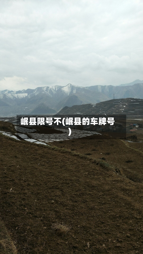 岷县限号不(岷县的车牌号)-第3张图片
