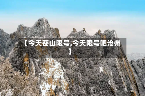 【今天苍山限号,今天限号吧沧州】