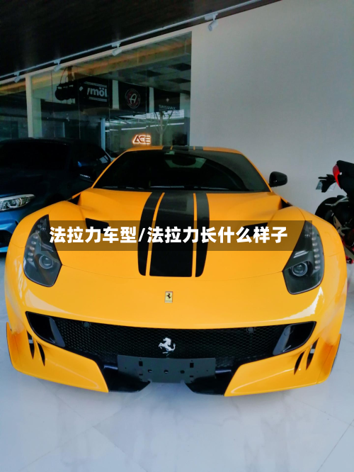 法拉力车型/法拉力长什么样子
