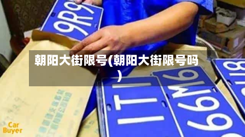 朝阳大街限号(朝阳大街限号吗)-第2张图片
