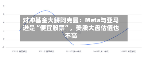 对冲基金大鳄阿克曼：Meta与亚马逊是“便宜股票”，美股大盘估值也不高-第3张图片