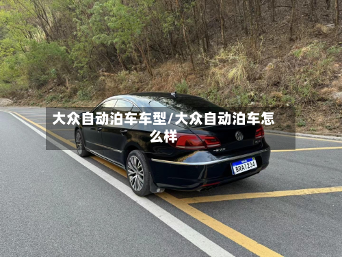 大众自动泊车车型/大众自动泊车怎么样-第2张图片