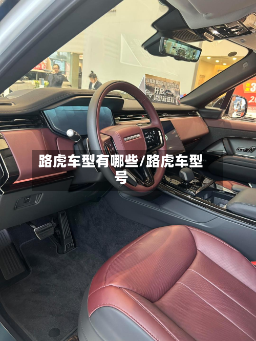 路虎车型有哪些/路虎车型号-第2张图片