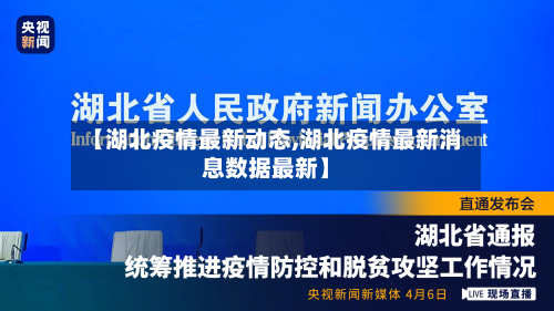 【湖北疫情最新动态,湖北疫情最新消息数据最新】-第3张图片