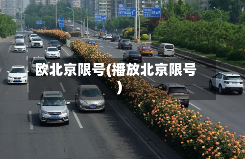 欧北京限号(播放北京限号)