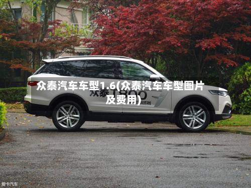 众泰汽车车型1.6(众泰汽车车型图片及费用)-第2张图片