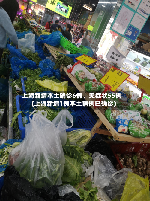 上海新增本土确诊6例、无症状55例(上海新增1例本土病例巳确诊)-第2张图片