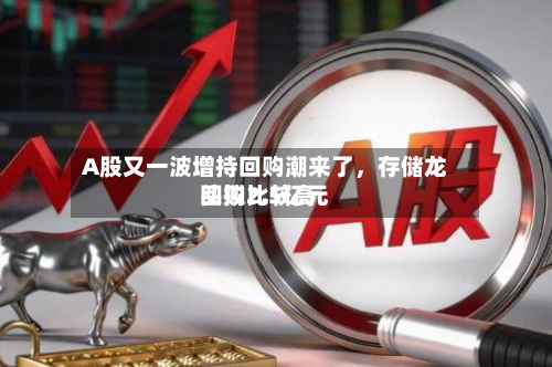 A股又一波增持回购潮来了，存储龙头拟比较高回购2.5亿元-第2张图片