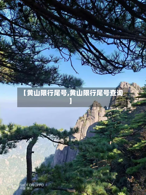 【黄山限行尾号,黄山限行尾号查询】-第3张图片