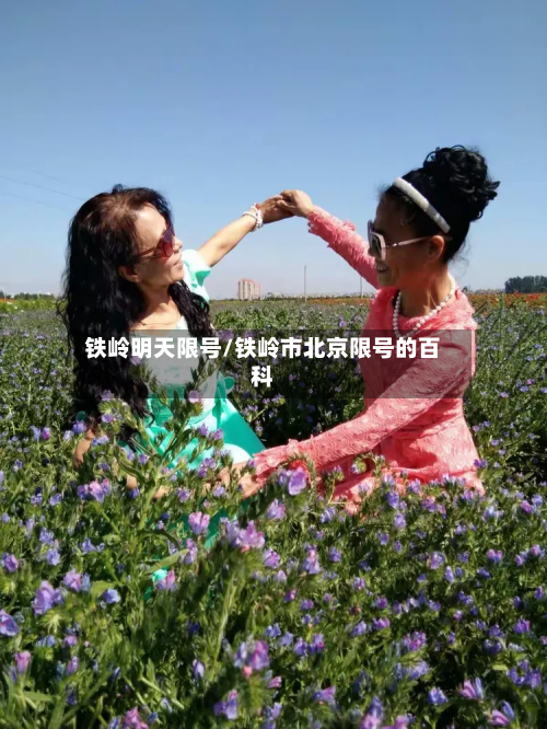 铁岭明天限号/铁岭市北京限号的百科-第3张图片