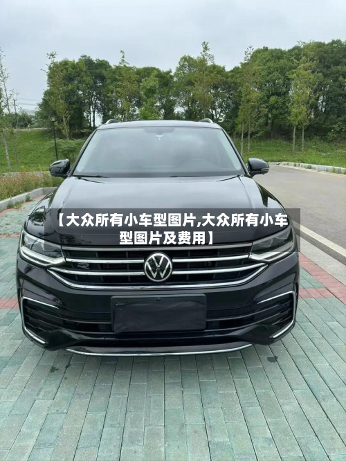 【大众所有小车型图片,大众所有小车型图片及费用】-第2张图片
