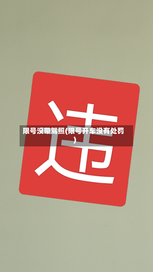 限号没带驾照(限号开车没有处罚)-第2张图片