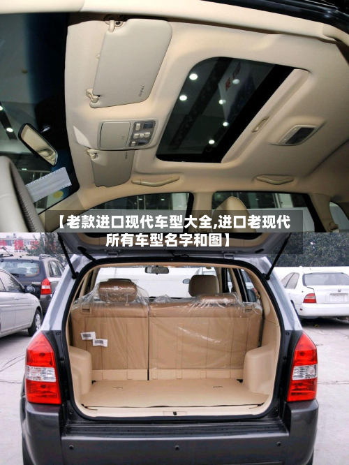 【老款进口现代车型大全,进口老现代所有车型名字和图】-第2张图片