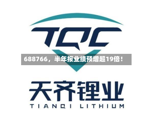 688766，半年报业绩预增超19倍！-第2张图片