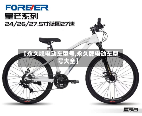【永久牌电动车型号,永久牌电动车型号大全】-第3张图片