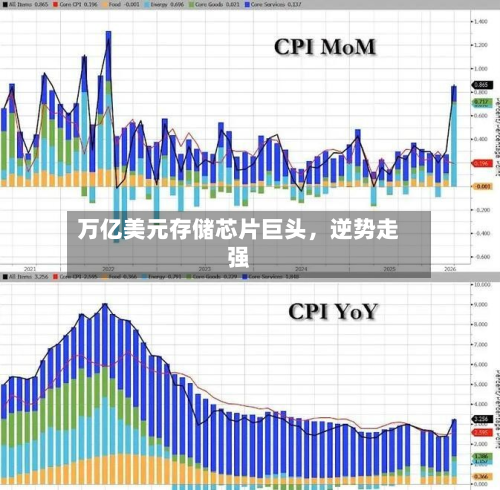 万亿美元存储芯片巨头，逆势走强-第3张图片