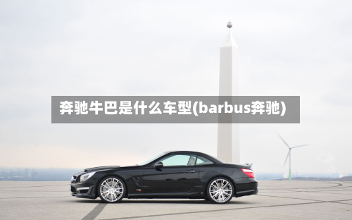 奔驰牛巴是什么车型(barbus奔驰)-第2张图片