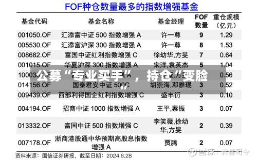 公募“专业买手”	，持仓“变脸	”-第3张图片