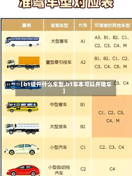 【b1证开什么车型,b1车本可以开啥车】-第2张图片