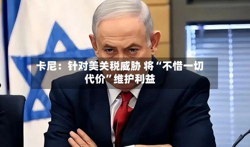 卡尼：针对美关税威胁 将“不惜一切代价”维护利益-第2张图片