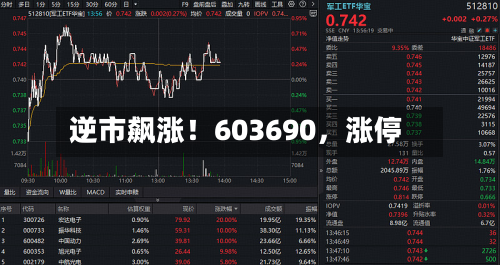 逆市飙涨！603690	，涨停-第2张图片