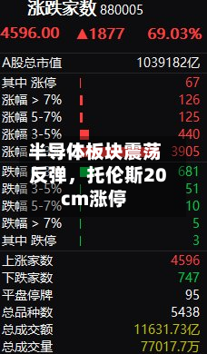 半导体板块震荡反弹，托伦斯20cm涨停-第2张图片