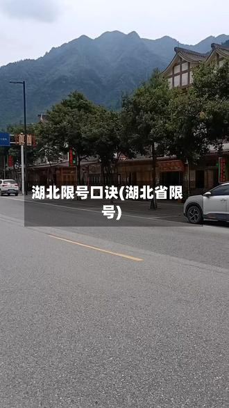 湖北限号口诀(湖北省限号)