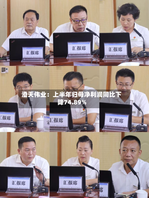 澄天伟业：上半年归母净利润同比下降74.89%-第3张图片