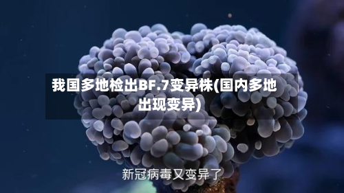 我国多地检出BF.7变异株(国内多地出现变异)-第3张图片