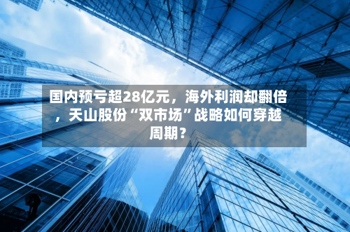 国内预亏超28亿元	，海外利润却翻倍，天山股份“双市场”战略如何穿越周期？-第3张图片