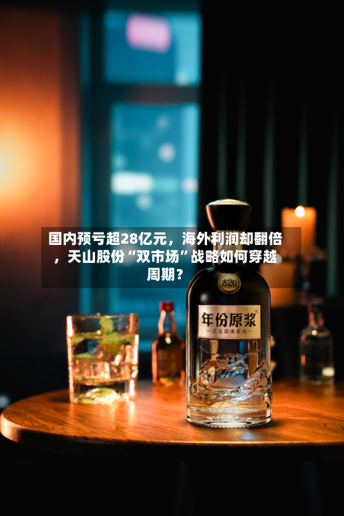 国内预亏超28亿元	，海外利润却翻倍，天山股份“双市场”战略如何穿越周期？-第1张图片