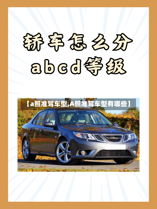 【a照准驾车型,A照准驾车型有哪些】