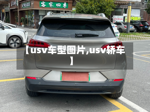 【usv车型图片,usv轿车】