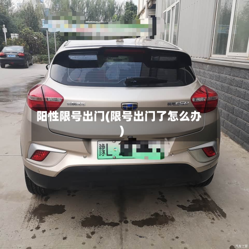 阳性限号出门(限号出门了怎么办)