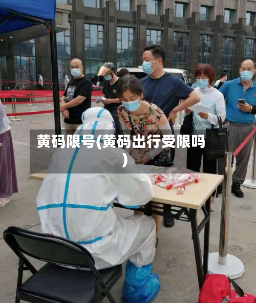 黄码限号(黄码出行受限吗)-第2张图片