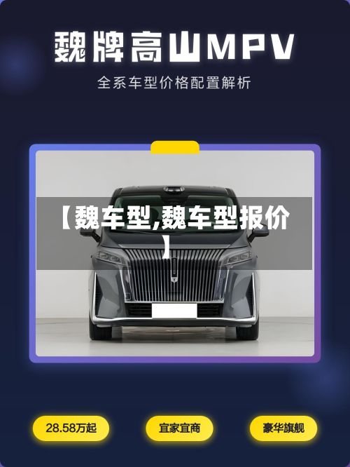 【魏车型,魏车型报价】-第3张图片