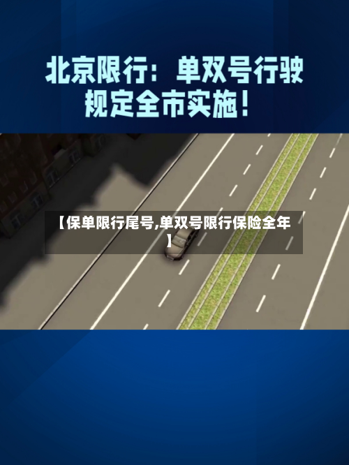 【保单限行尾号,单双号限行保险全年】-第3张图片