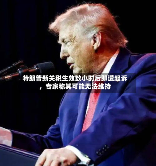 特朗普新关税生效数小时后即遭起诉，专家称其可能无法维持-第3张图片