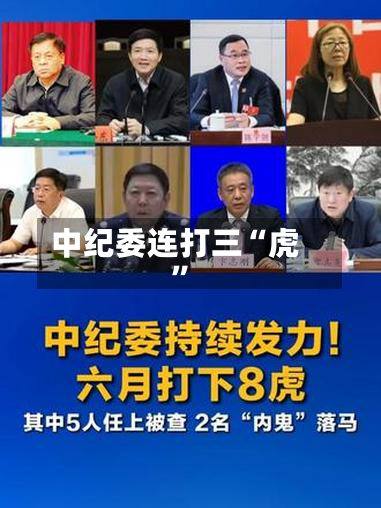 中纪委连打三“虎”-第3张图片