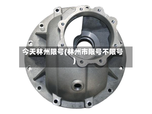 今天林州限号(林州市限号不限号)